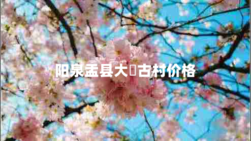 陽泉盂縣大汖古村價格