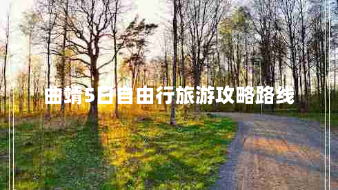 曲靖5日自由行旅游攻略路線