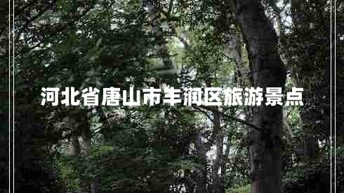 河北省唐山市豐潤區(qū)旅游景點(diǎn)