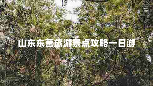 山東東營旅游景點(diǎn)攻略一日游