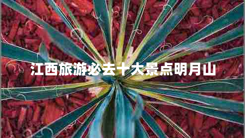 江西旅游必去十大景點明月山