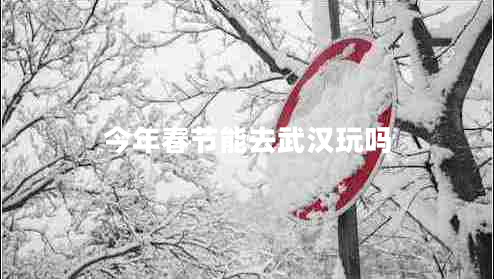 今年春節(jié)能去武漢玩嗎