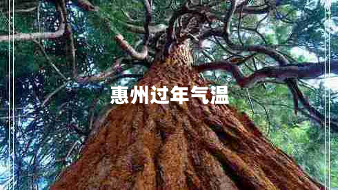 惠州過年氣溫