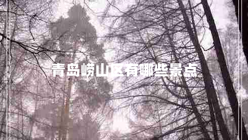 青島嶗山區(qū)有哪些景點(diǎn)