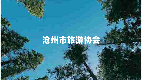 滄州市旅游協(xié)會(huì)