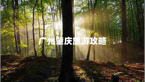 廣州肇慶旅游攻略