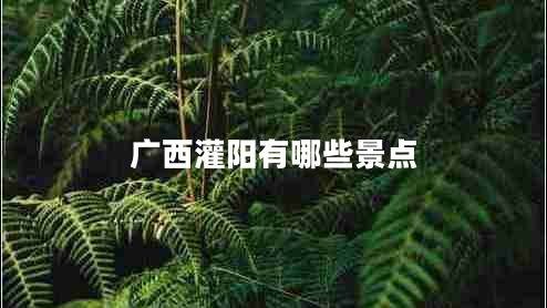 廣西灌陽有哪些景點