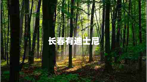 長(zhǎng)春有迪士尼