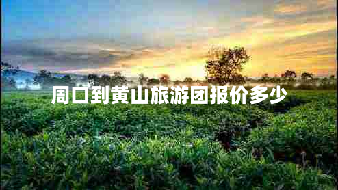 周口到黃山旅游團(tuán)報價多少