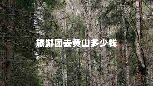 旅游團(tuán)去黃山多少錢