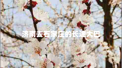 濟(jì)南去石家莊的長(zhǎng)途大巴