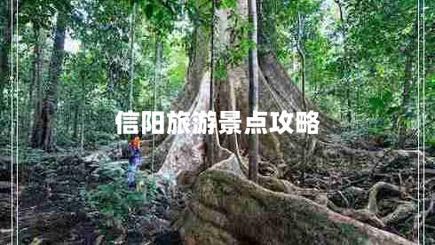 信陽旅游景點(diǎn)攻略