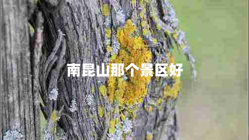 南昆山那個(gè)景區(qū)好