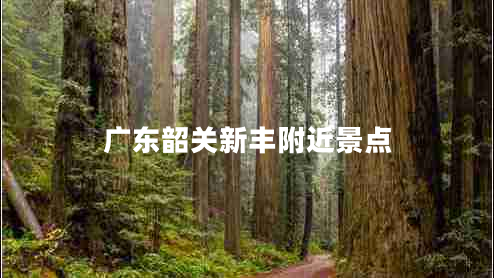 廣東韶關(guān)新豐附近景點