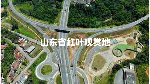 山東省紅葉觀賞地
