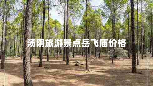 湯陰旅游景點岳飛廟價格
