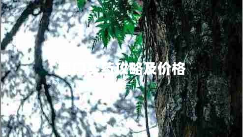 澳門買藥攻略及價(jià)格