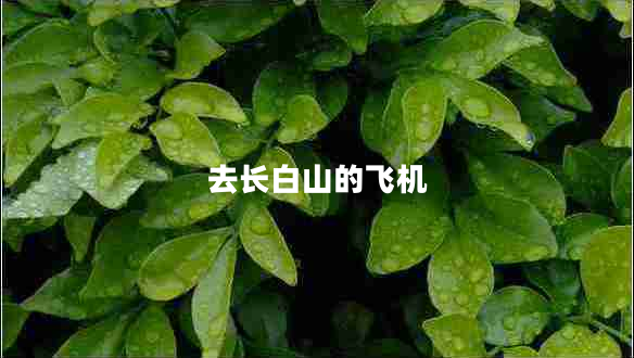 去長(zhǎng)白山的飛機(jī)
