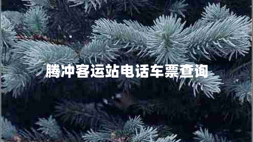 騰沖客運站電話車票查詢