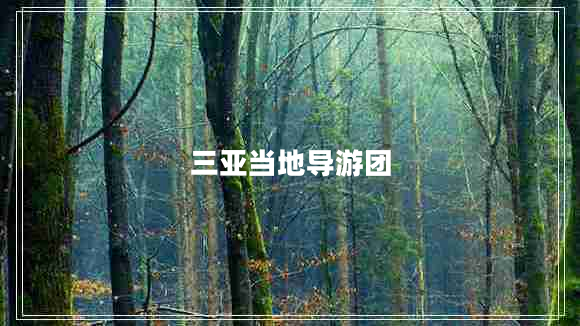 三亞當(dāng)?shù)貙?dǎo)游團