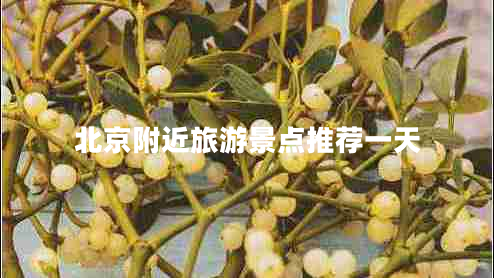 北京附近旅游景點推薦一天