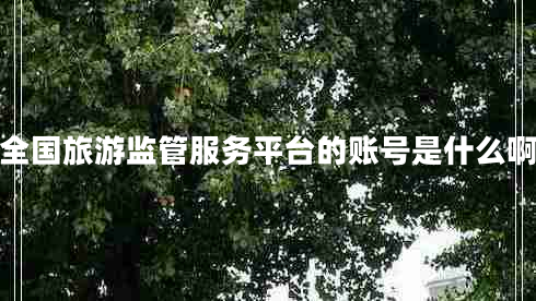 全國(guó)旅游監(jiān)管服務(wù)平臺(tái)的賬號(hào)是什么啊