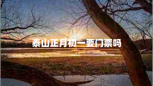 泰山正月初一要門票嗎