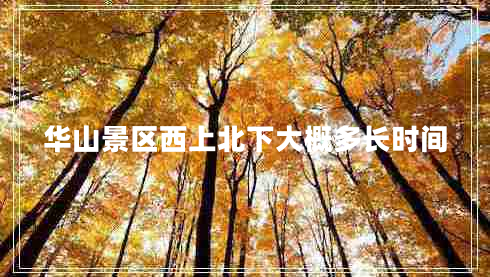 華山景區(qū)西上北下大概多長時(shí)間