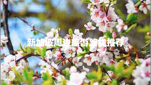 新加坡周邊旅游路線推薦