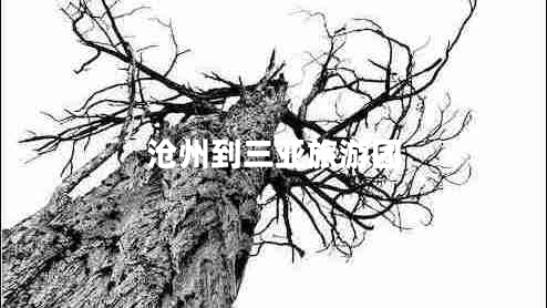 滄州到三亞旅游團(tuán)