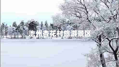 池州杏花村旅游景區(qū)