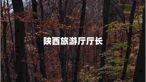 陜西旅游廳廳長(zhǎng)