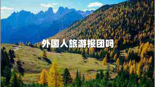 外國(guó)人旅游報(bào)團(tuán)嗎