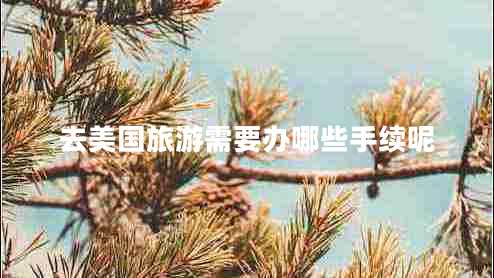 去美國(guó)旅游需要辦哪些手續(xù)呢