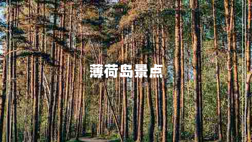 薄荷島景點