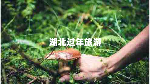 湖北過年旅游