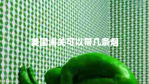 美國(guó)海關(guān)可以帶幾條煙