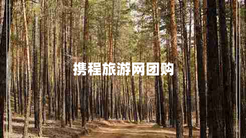 攜程旅游網團購