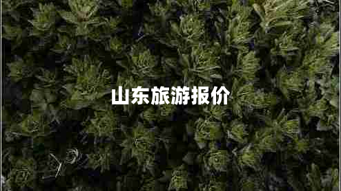 山東旅游報(bào)價(jià)