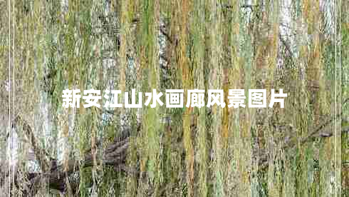 新安江山水畫廊風(fēng)景圖片