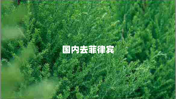 國內(nèi)去菲律賓