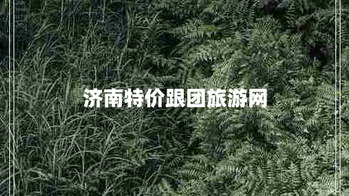 濟(jì)南特價(jià)跟團(tuán)旅游網(wǎng)