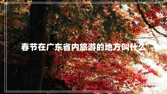 春節(jié)在廣東省內(nèi)旅游的地方叫什么