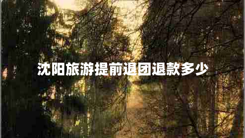 沈陽(yáng)旅游提前退團(tuán)退款多少