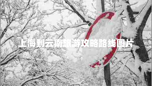 上海到云南旅游攻略路線圖片