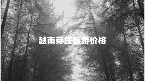 越南芽莊旅游價格