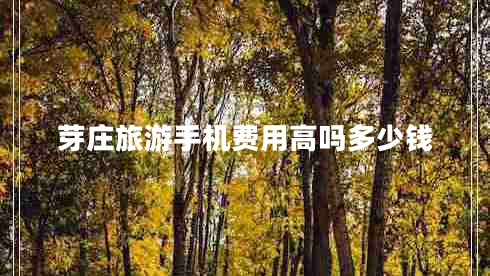 芽莊旅游手機費用高嗎多少錢