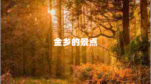 金鄉(xiāng)的景點