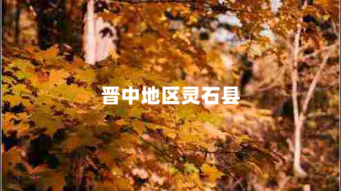 晉中地區(qū)靈石縣