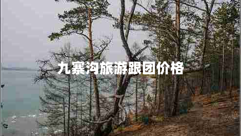 九寨溝旅游跟團(tuán)價(jià)格